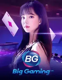 casino14